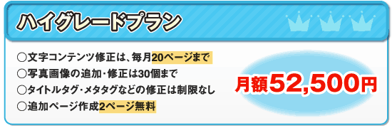 �n�C�O���[�h�v���� �E�����R���e���c�C���́A����20�y�[�W�܂� �E�ʐ^�摜�̒ǉ��E�C����30�܂� �E�^�C�g���^�O�E���^�^�O�Ȃǂ̏C���͐����Ȃ� �E�ǉ��y�[�W�쐬2�y�[�W�܂Ŗ��� �E�[��1�T�Ԉȓ� ���z52,500�~