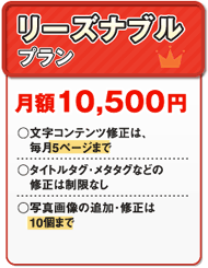 ���[�Y�i�u���v����