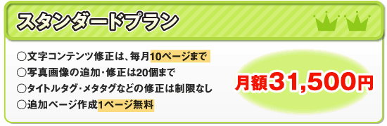 �X�^���_�[�h�v���� �E�����R���e���c�C���́A����10�y�[�W�܂� �E�ʐ^�摜�̒ǉ��E�C����20�܂� �E�^�C�g���^�O�E���^�^�O�Ȃǂ̏C���͐����Ȃ� �E�ǉ��y�[�W�쐬1�y�[�W���� �E�[��5���Ԉȓ� ���z31,500�~